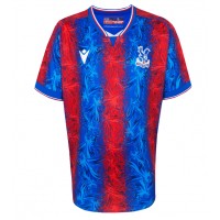 Crystal Palace Fußballbekleidung Heimtrikot 2024-25 Kurzarm